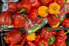 66ff9cfb-acc0-4a75-9c98-65f0646ddb6e