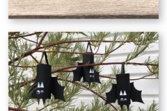 462451520_122132757782337177_9084667344009872834_n